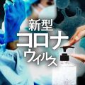 スリランカ、初のデフォルトに 中国から多額債務、観光業の打撃