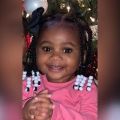 8歳児が父の銃を発砲 1歳児死亡、2歳児負傷 米フロリダ州