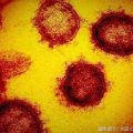 【国内感染】新型コロナ 93人死亡 13万9687人感染(1日22:00)
