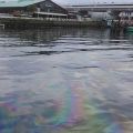 横浜港に油膜広がる　海中から油湧き出るも排出源不明