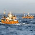 ロシア、日本との漁業協定停止　北方領土周辺の安全操業