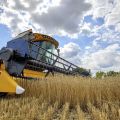 ウクライナ大統領、穀物生産半減の恐れ　ロシア軍砲撃で輸出会社オーナー死亡