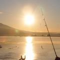 諏訪湖「御神渡り」4季ぶり期待大　冷え込み続き広範囲で結氷