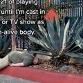 「死体役がもらえるまでやる」　死んだふり動画を300日以上アップし続けた人、ついに「CSI：ベガス」に出演