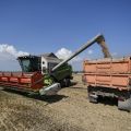 高騰する輸入小麦を米粉や国産小麦へ切り替え「それ、緊急対策じゃない」と商社マン