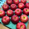 解雇されたツイッター社員へリンゴ農家が求人募集　「アップルの仕事してる、って言えるよ！」「畑で汗流して」