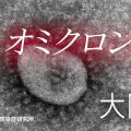 大阪府 「オミクロン株」 58人感染確認 全員が軽症か無症状
