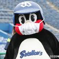 プロ野球 ヤクルトの「つば九郎」 新型コロナ感染確認