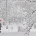 3か月予報「寒い冬に」気温は平年並みか低く 日本海側大雪注意