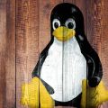 Linuxでルート権限を自由に取得できる脆弱性が発覚、「悪用されるのは時間の問題」と専門家