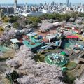 王子動物園内にレクリエーション施設を整備へ　神戸市、「遊園地全廃」の方針見直し